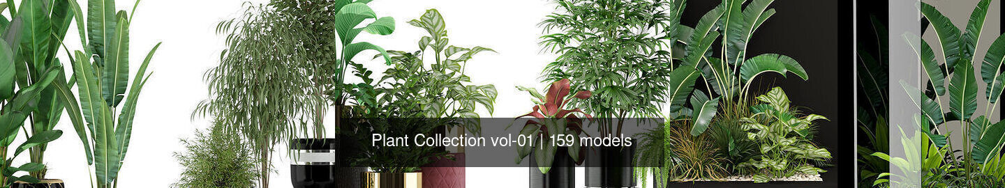 Plant Collection vol-01 _285