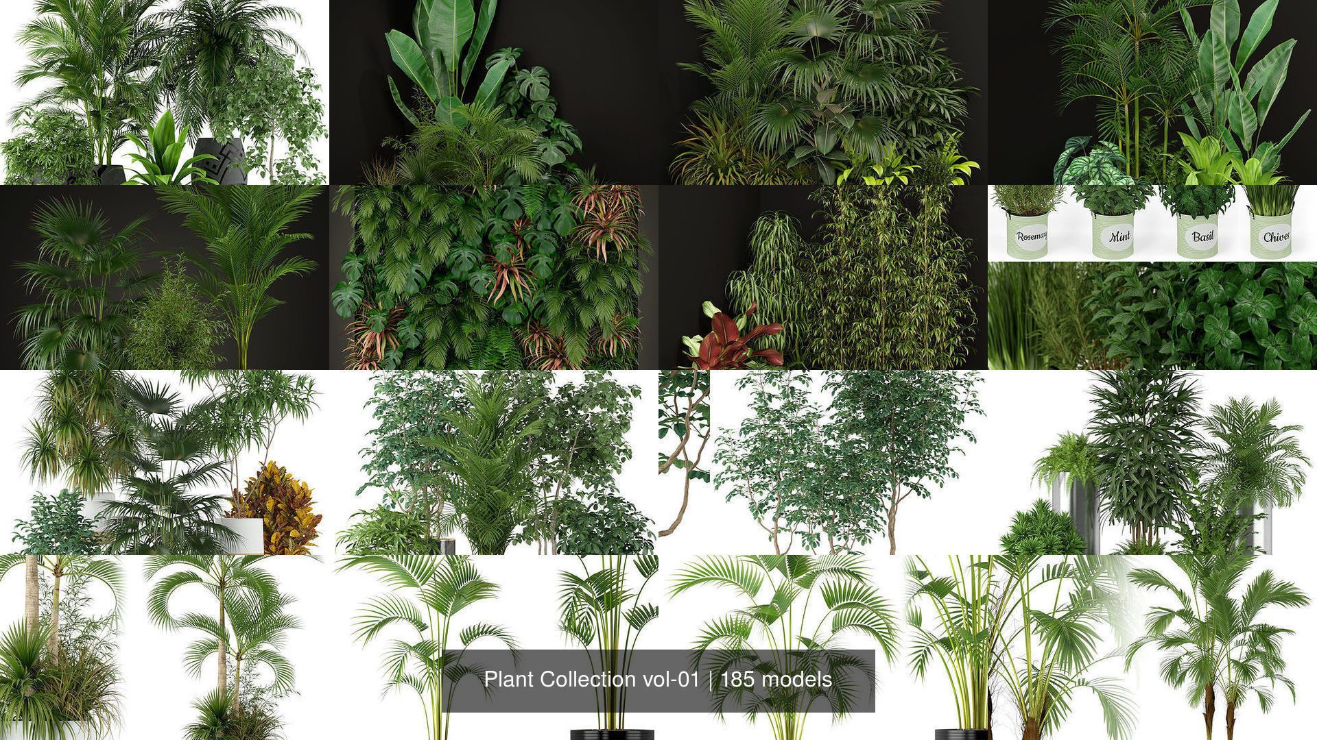 Plant Collection vol-01 _212