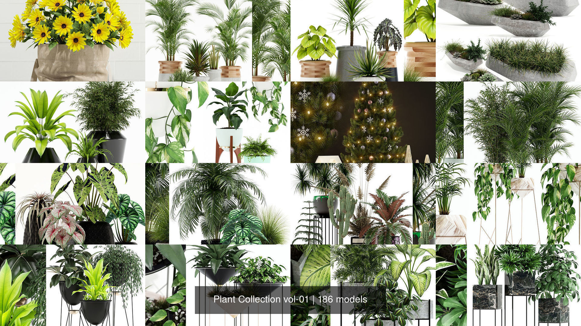 Plant Collection vol-01 _85