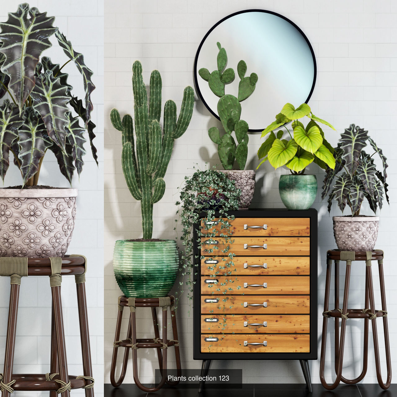 Plant Collection vol-01 _356