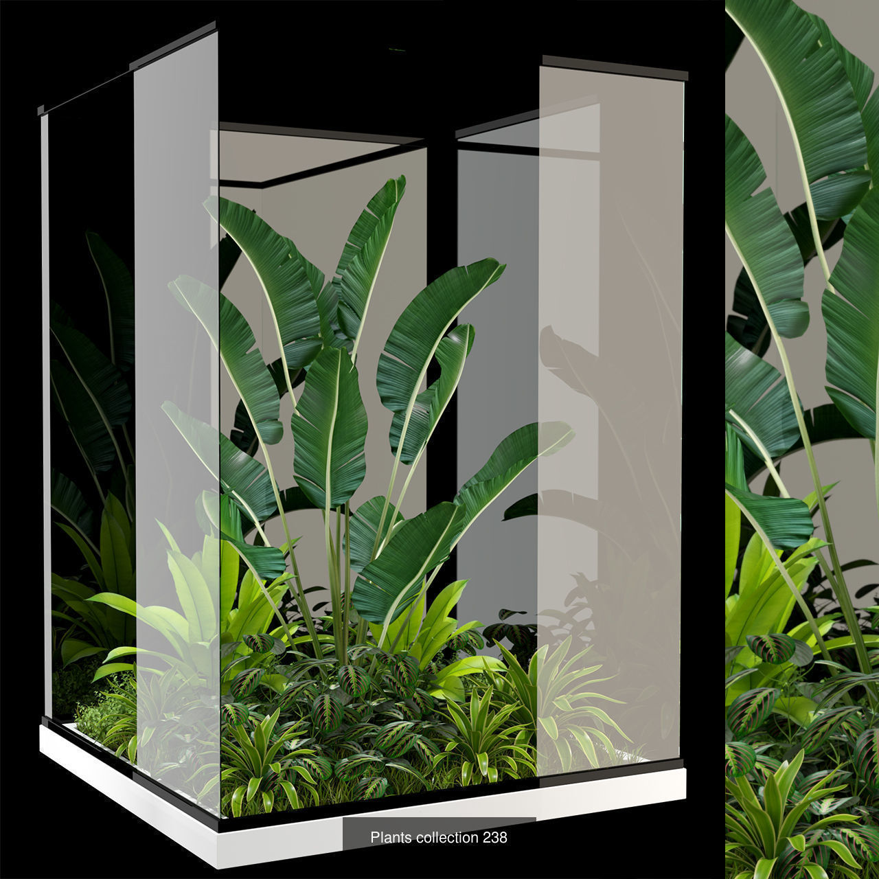 Plant Collection vol-01 _466