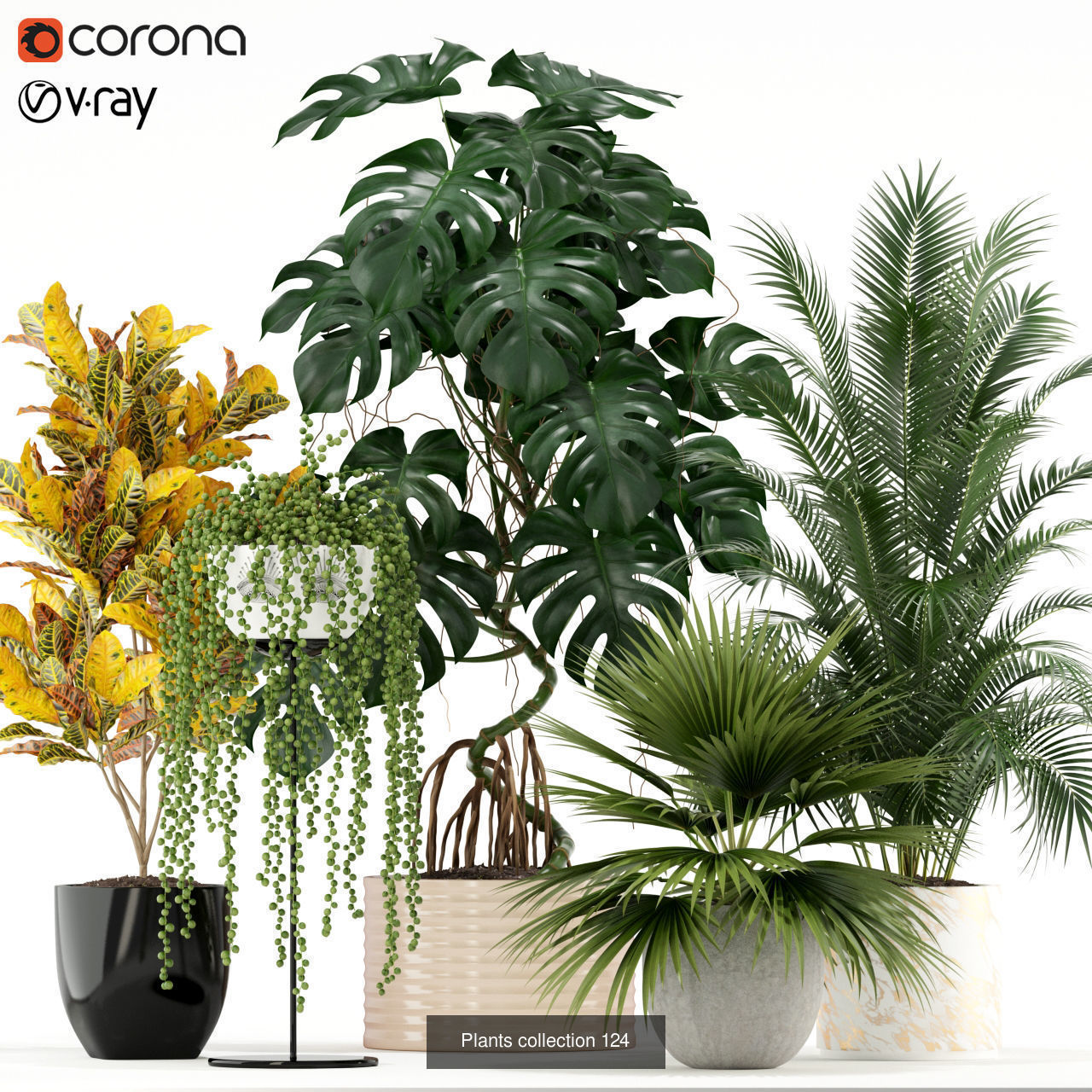 Plant Collection vol-01 _357