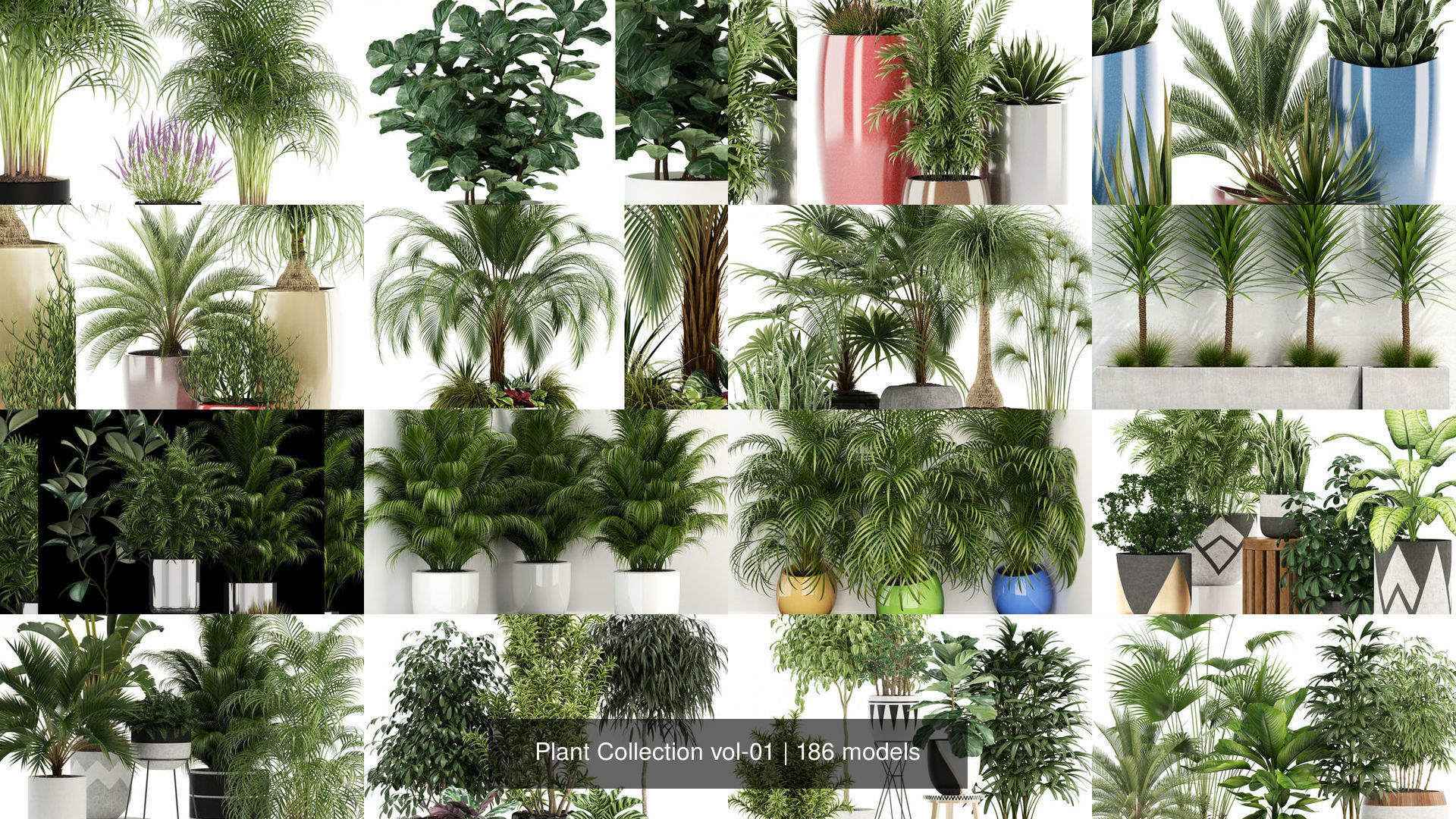 Plant Collection vol-01 _28