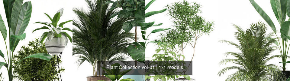 Plant Collection vol-01 _59