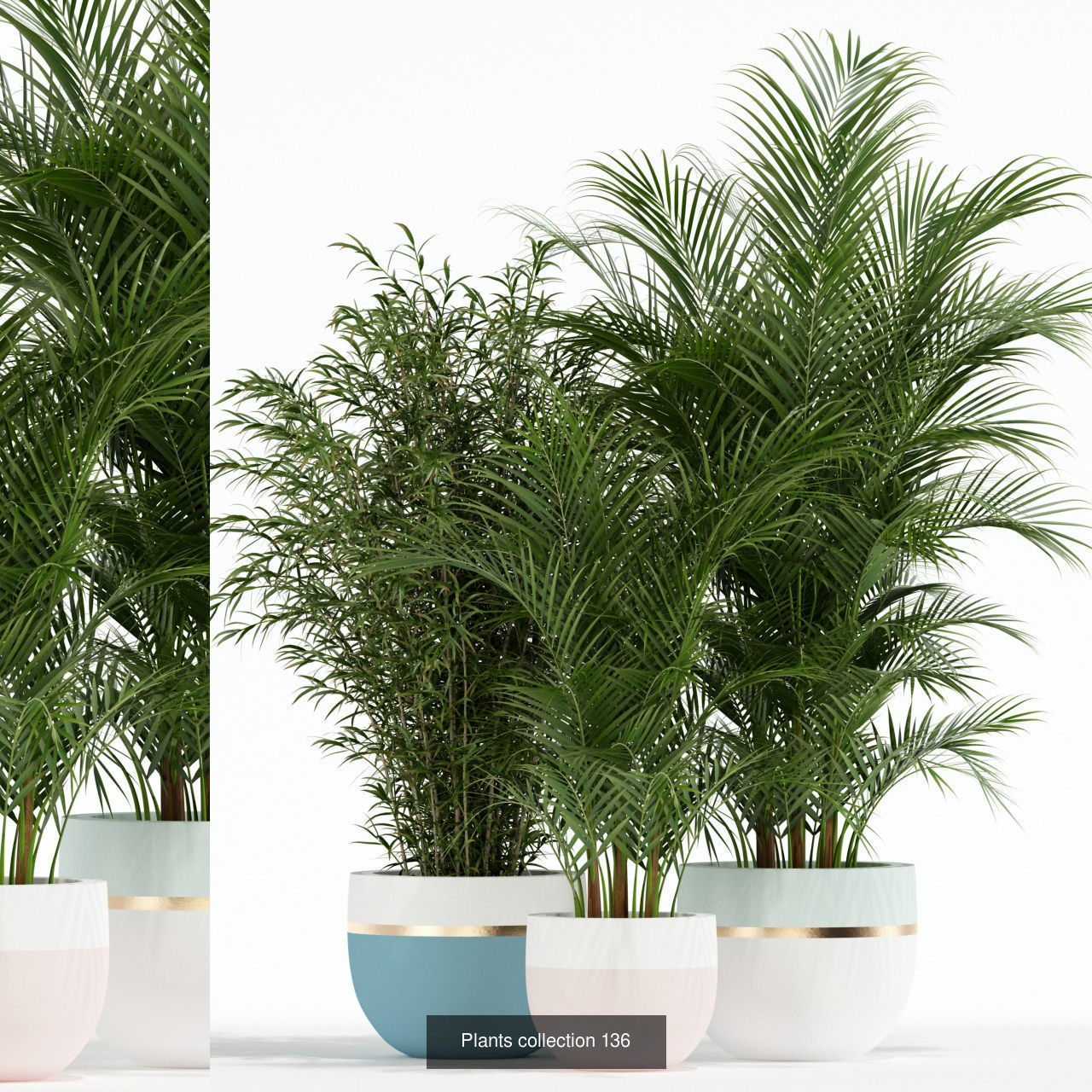 Plant Collection vol-01 _364