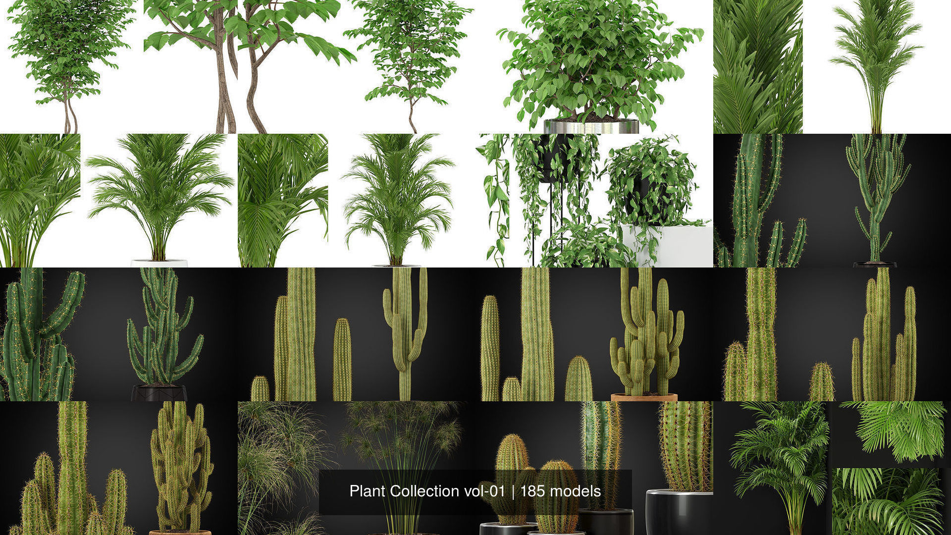 Plant Collection vol-01 _306