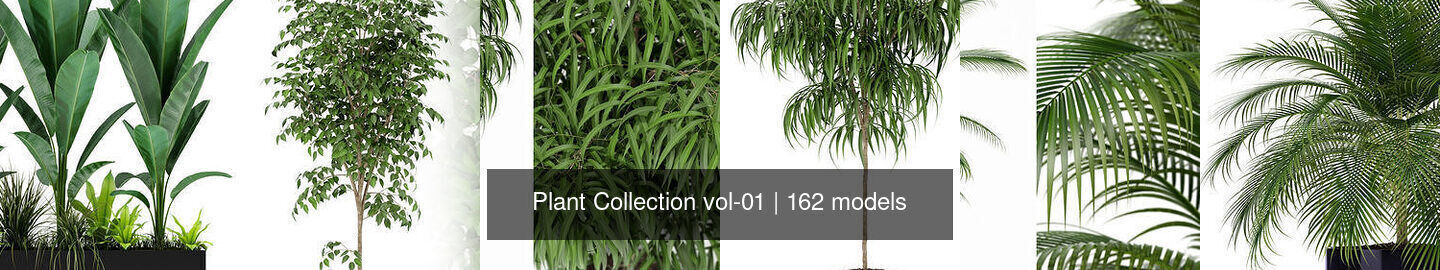 Plant Collection vol-01 _122