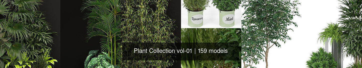 Plant Collection vol-01 _237