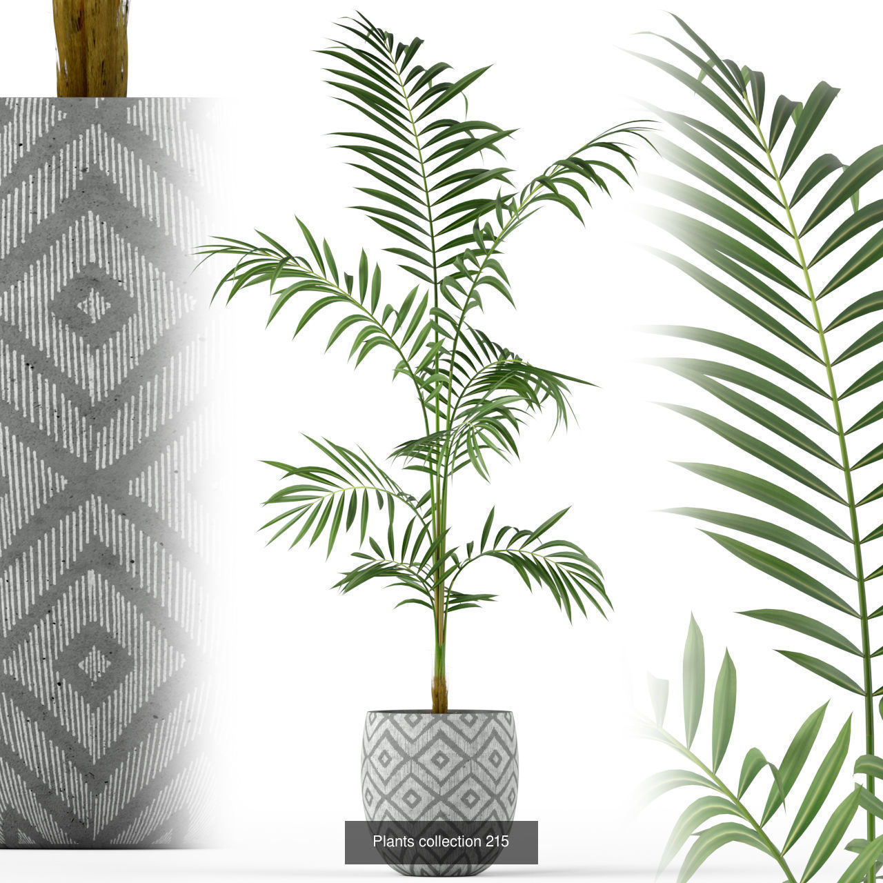 Plant Collection vol-01 _443