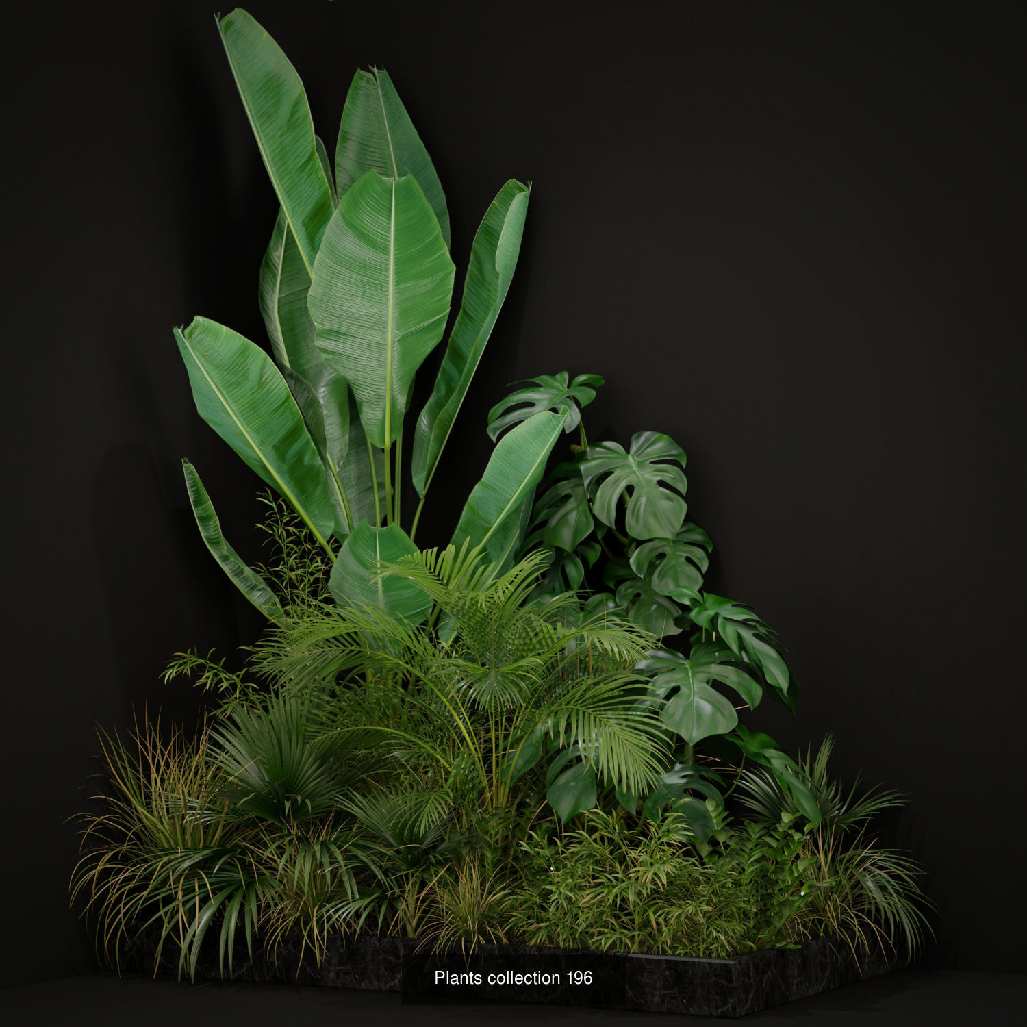 Plant Collection vol-01 _424