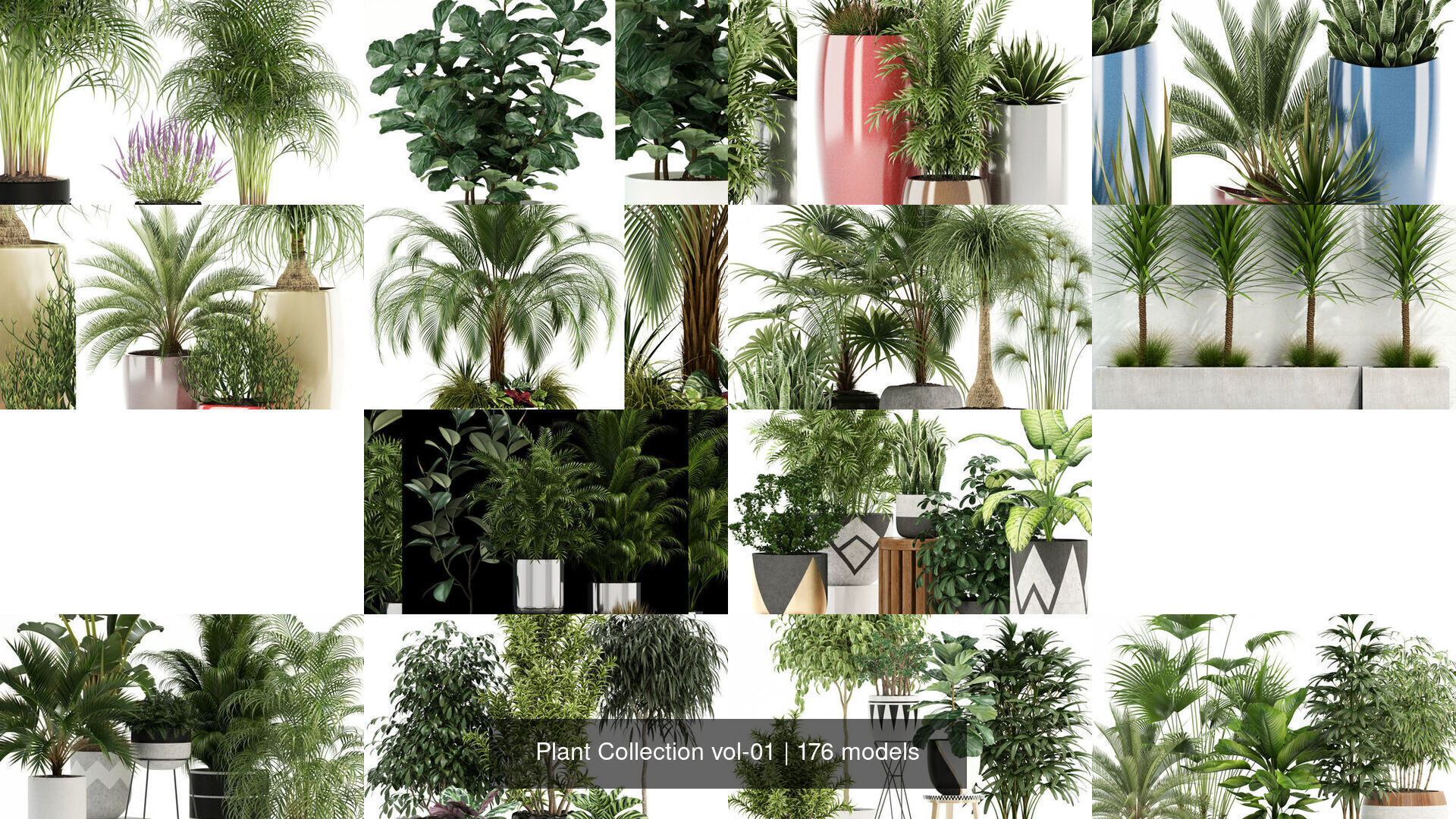 Plant Collection vol-01 _30