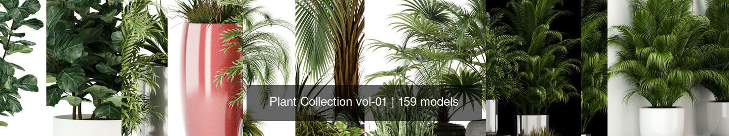 Plant Collection vol-01 _49