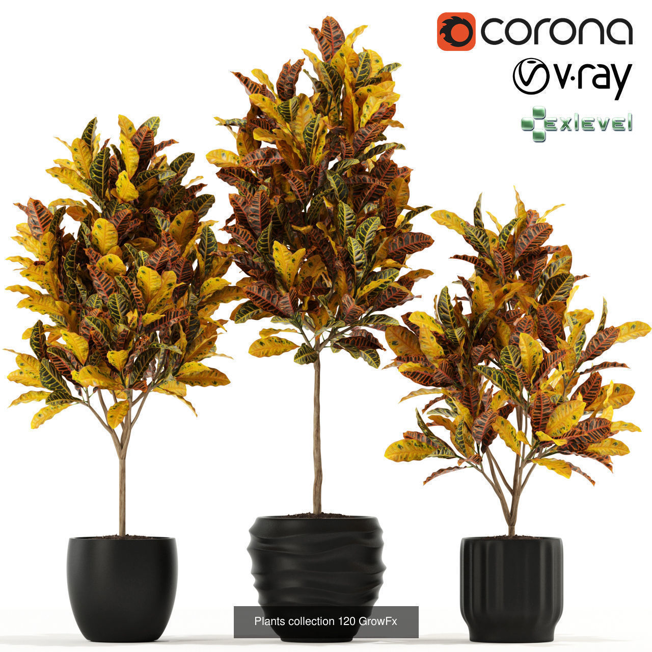 Plant Collection vol-01 _351