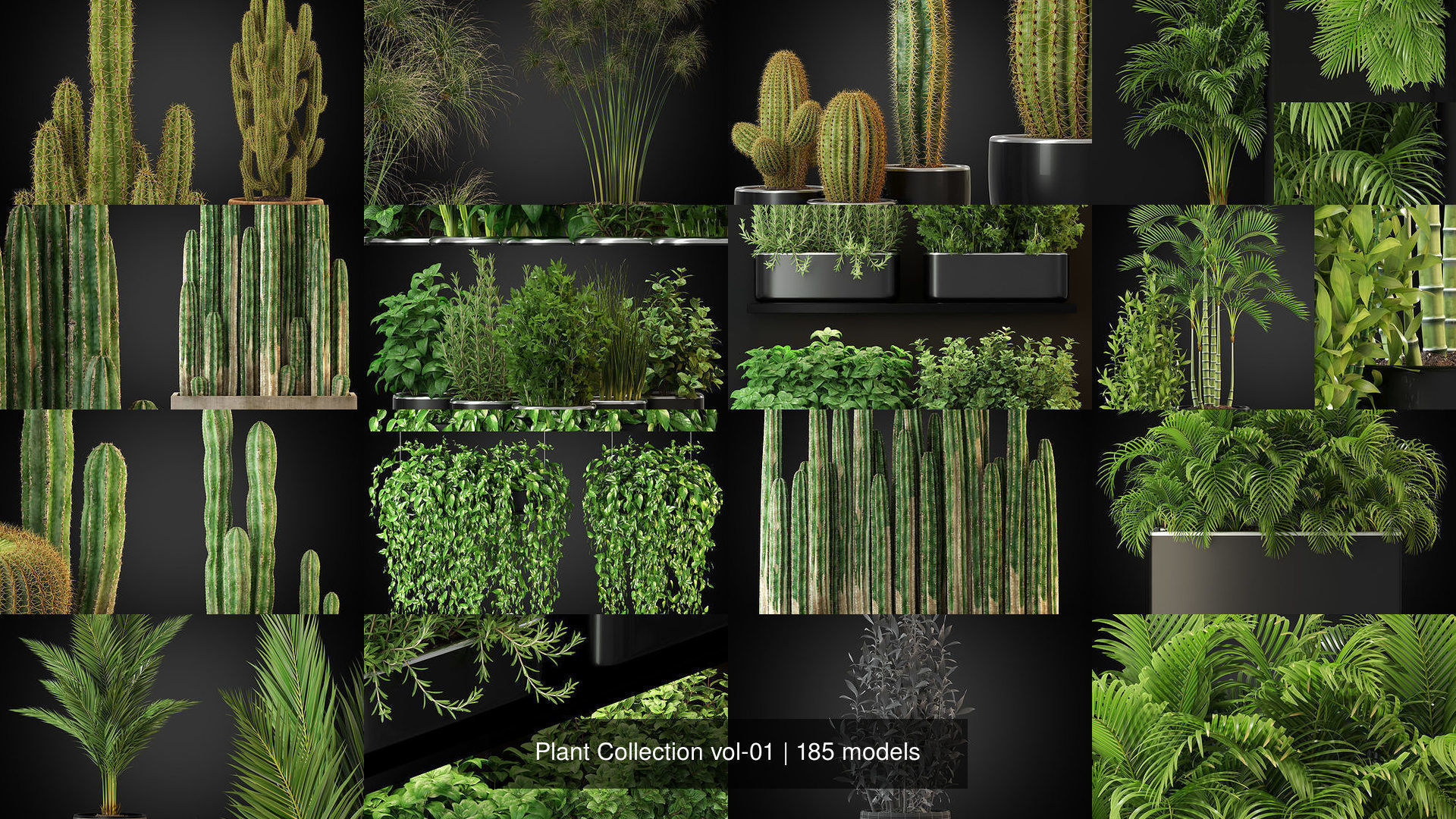 Plant Collection vol-01 _308