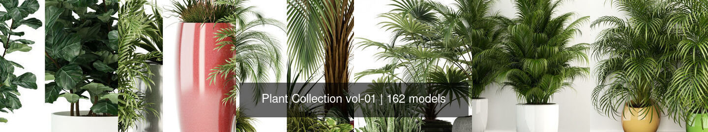 Plant Collection vol-01 _44