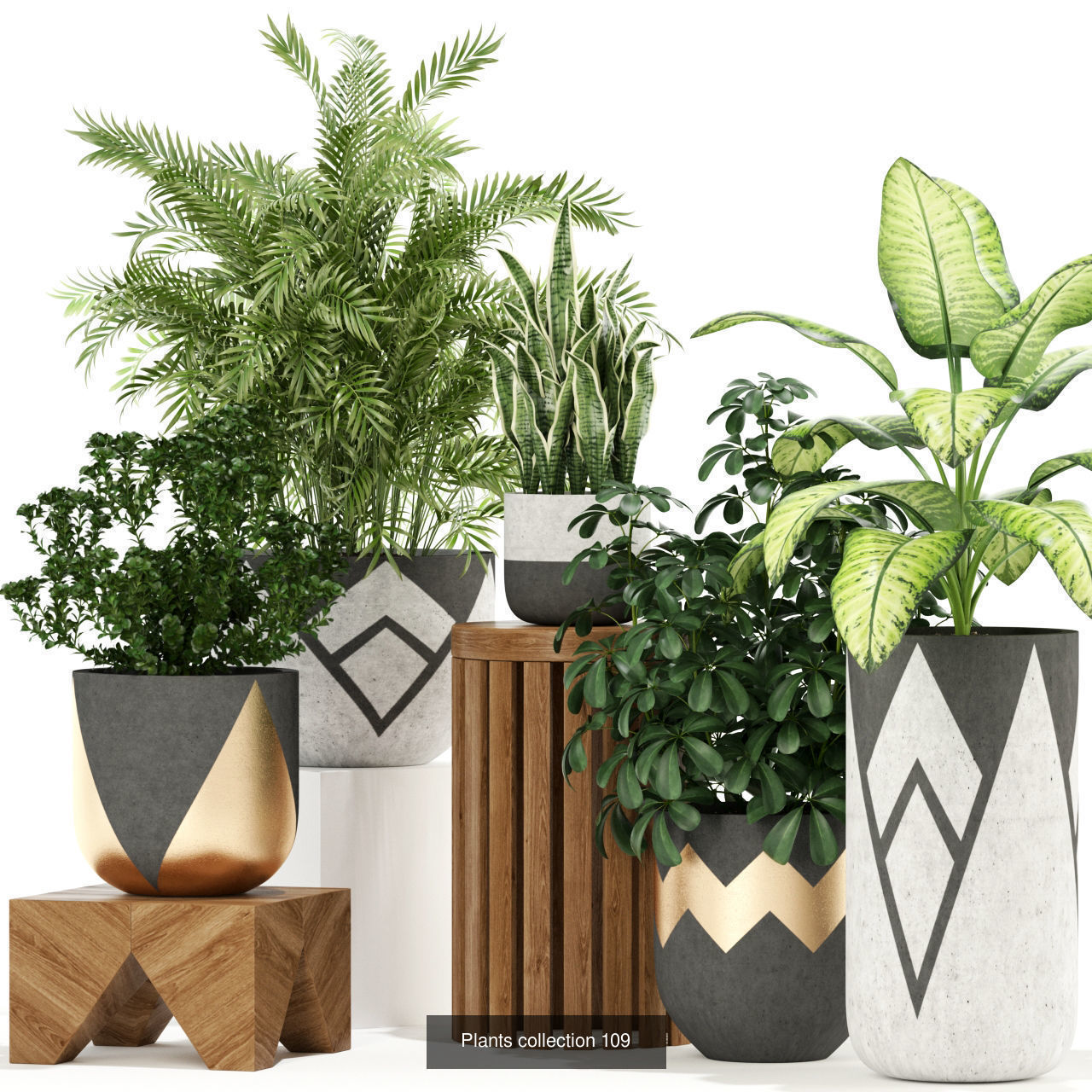 Plant Collection vol-01 _339