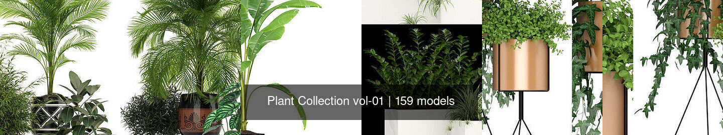 Plant Collection vol-01 _192