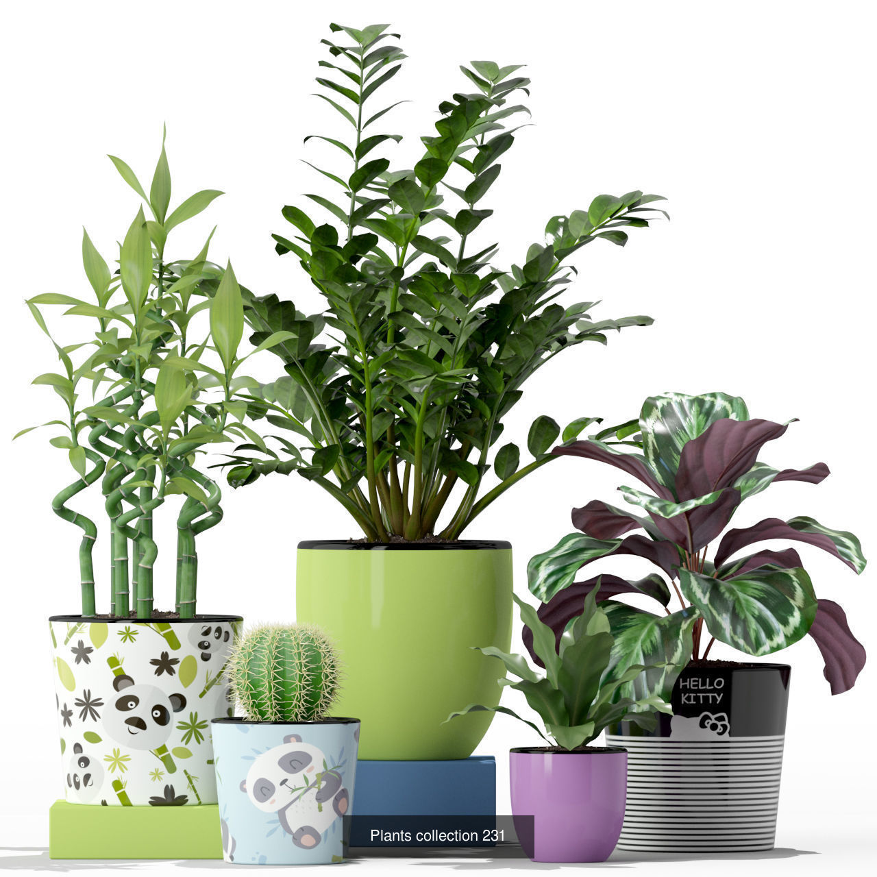 Plant Collection vol-01 _459