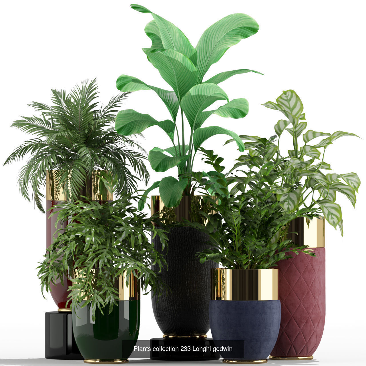 Plant Collection vol-01 _461