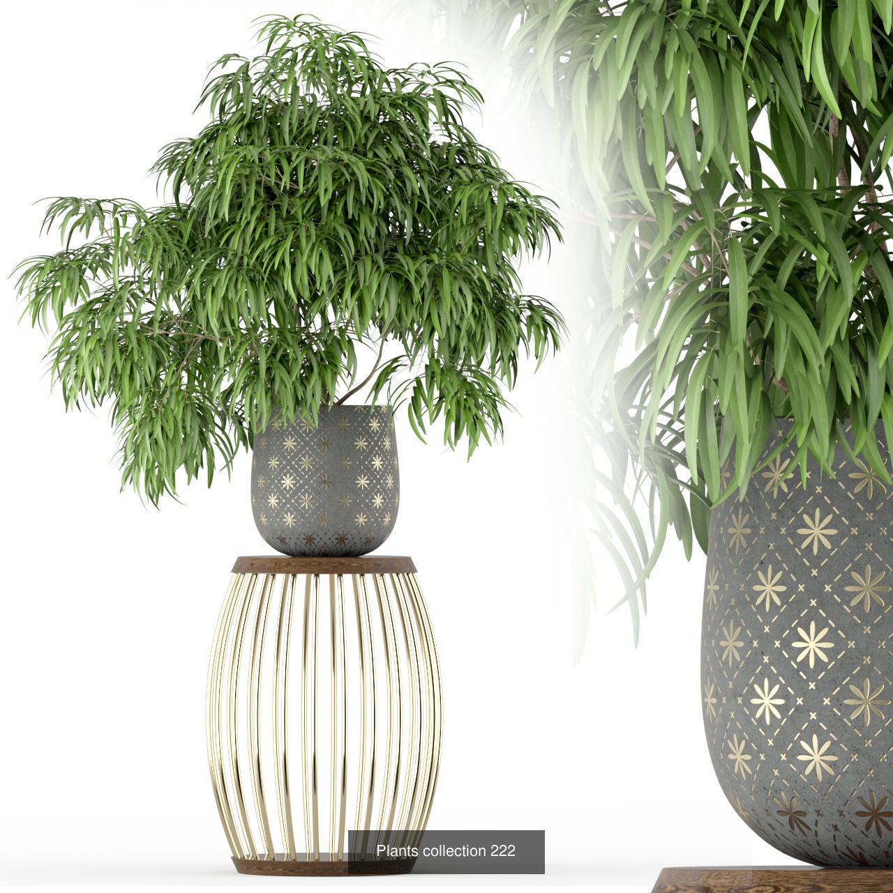 Plant Collection vol-01 _450