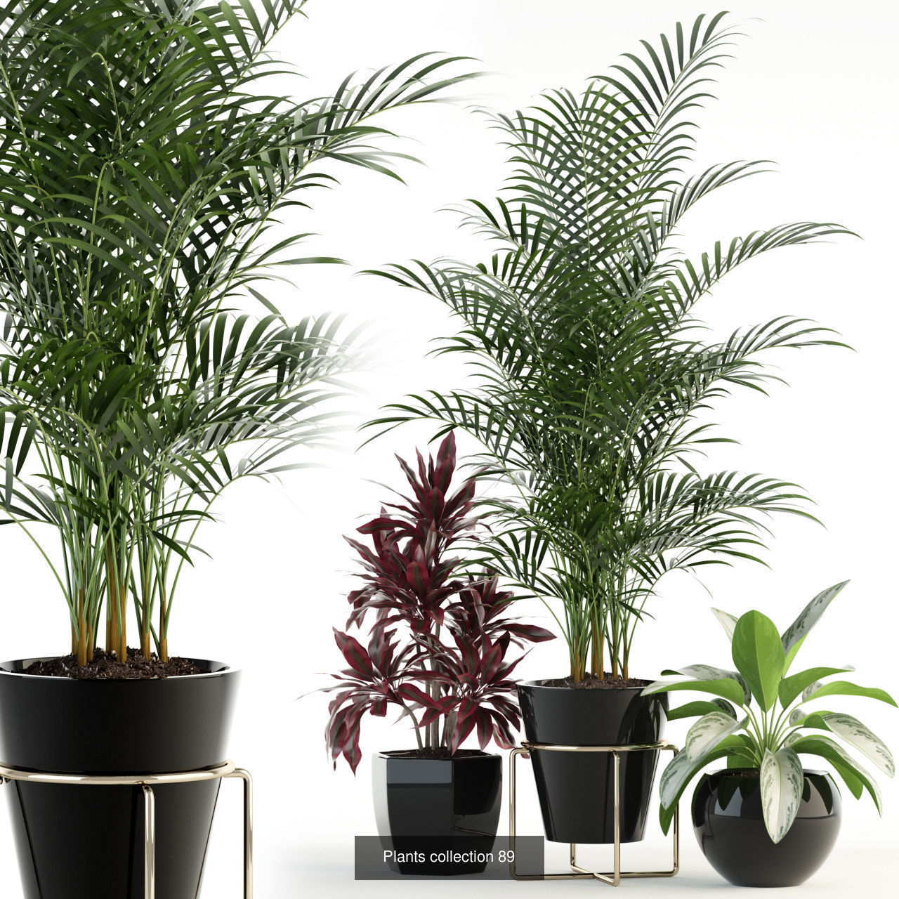 Plant Collection vol-01 _320