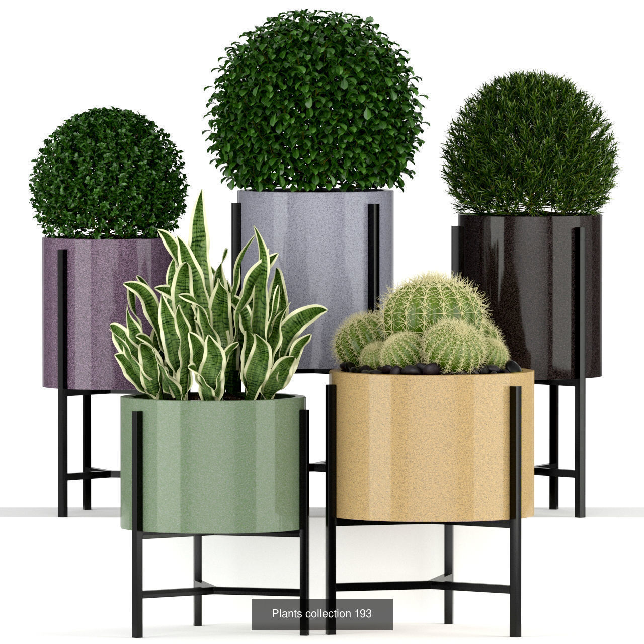 Plant Collection vol-01 _421