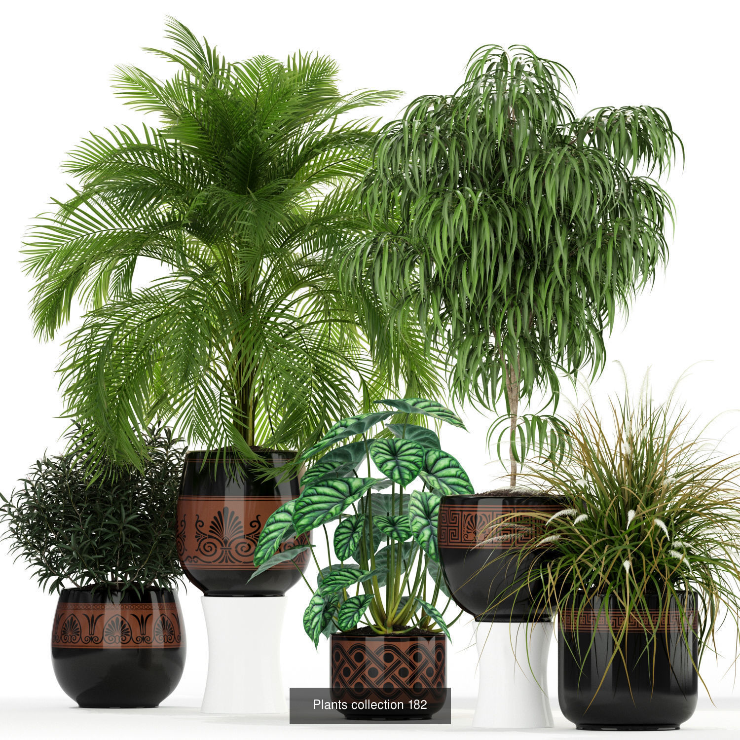 Plant Collection vol-01 _410
