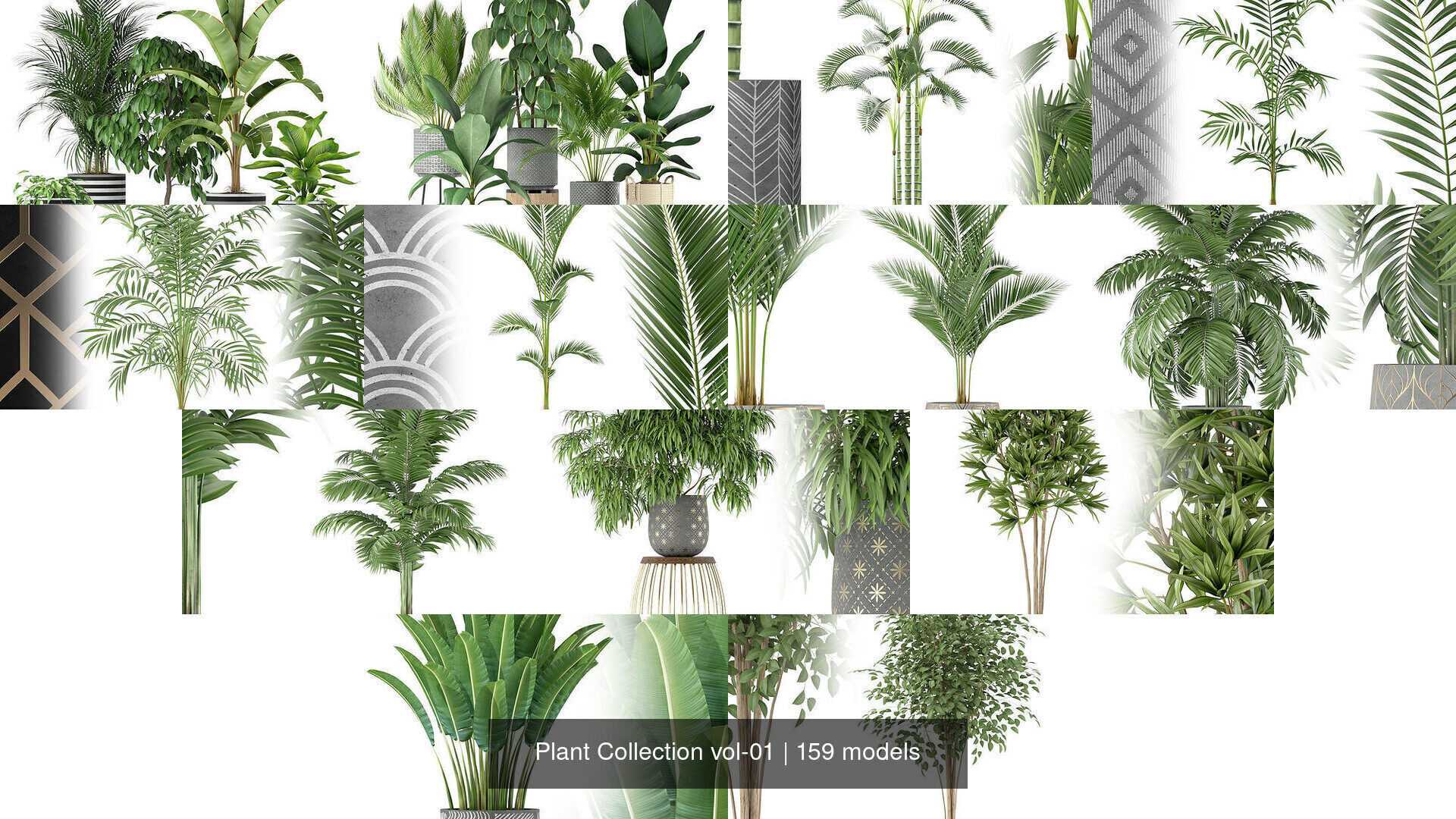 Plant Collection vol-01 _267