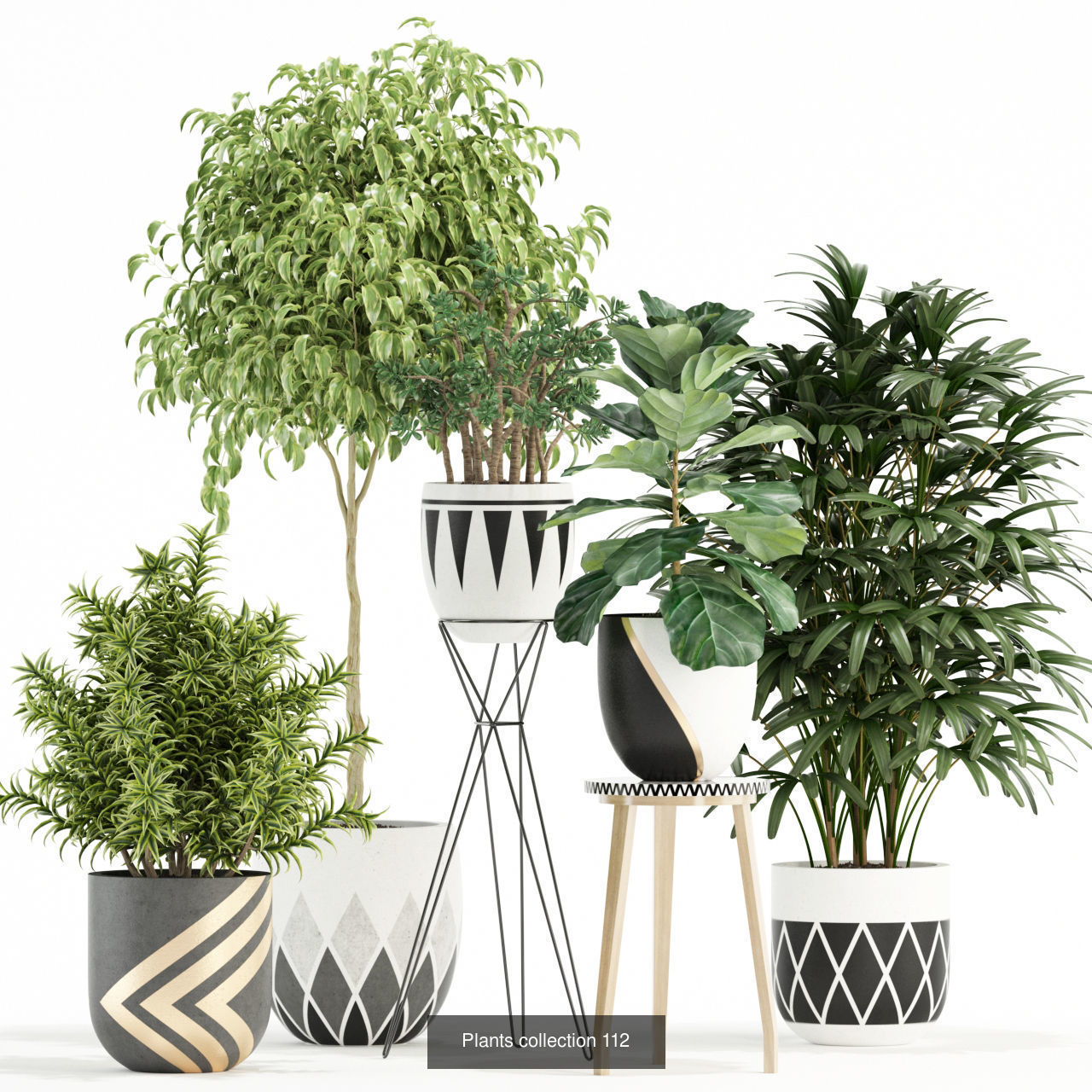 Plant Collection vol-01 _342