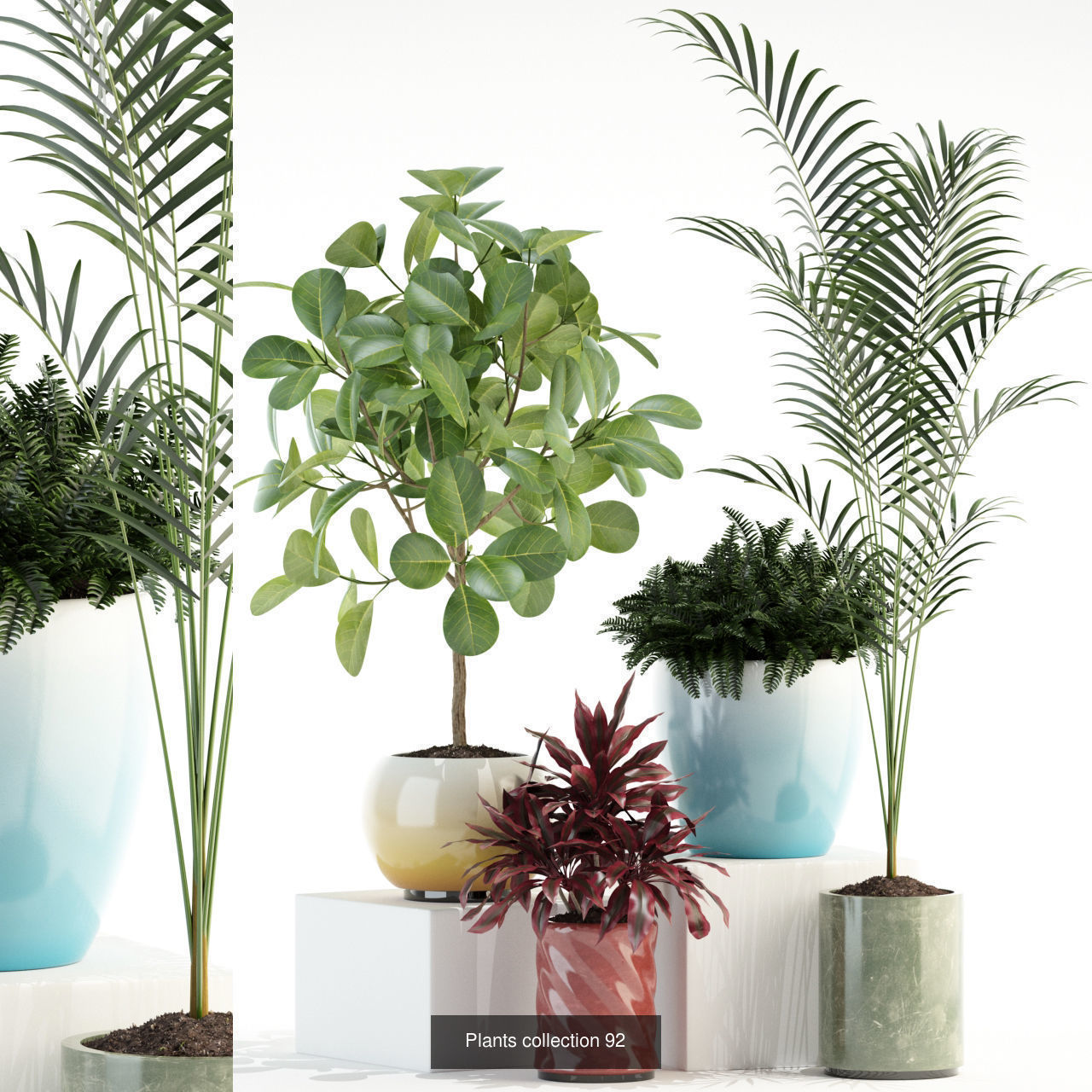 Plant Collection vol-01 _323