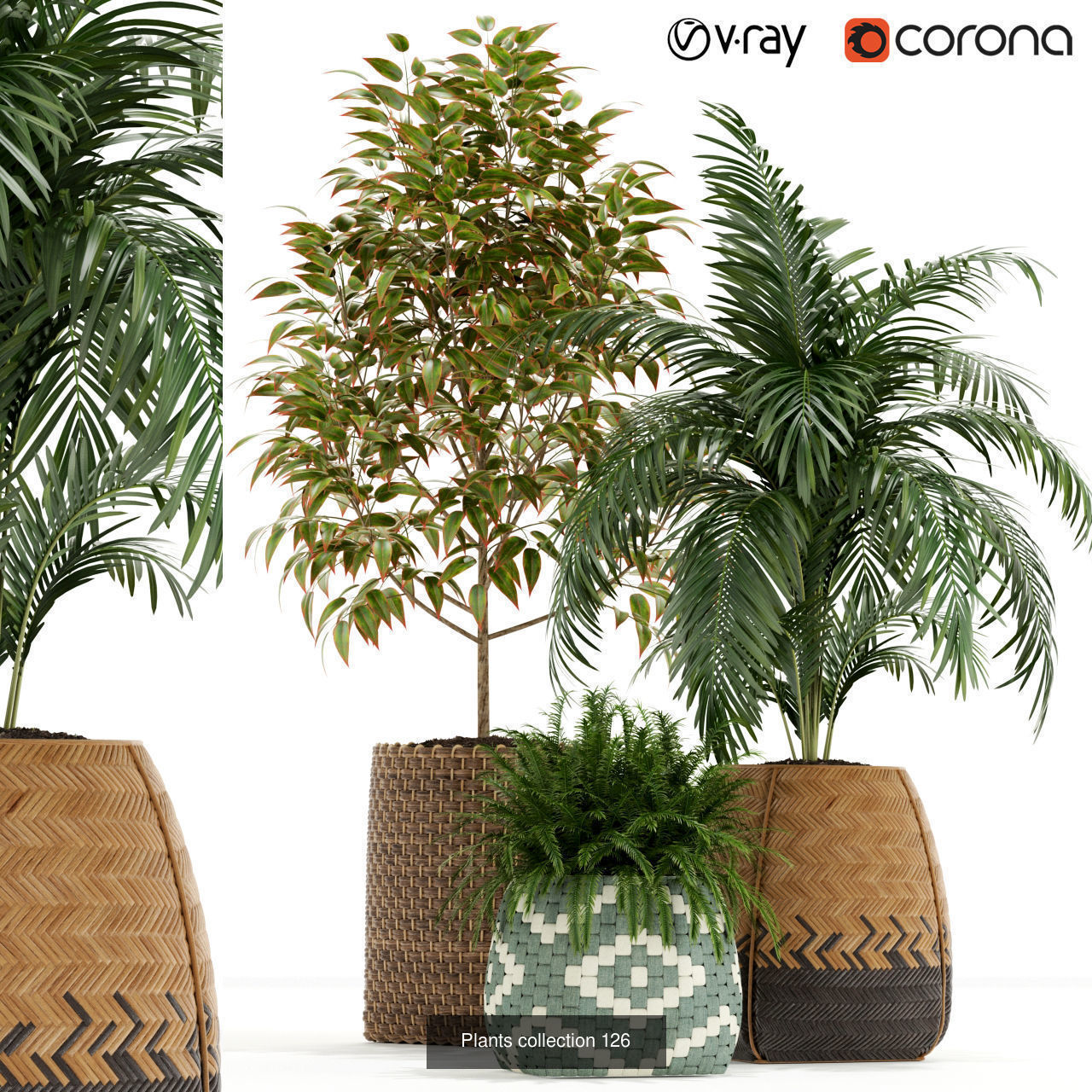 Plant Collection vol-01 _359