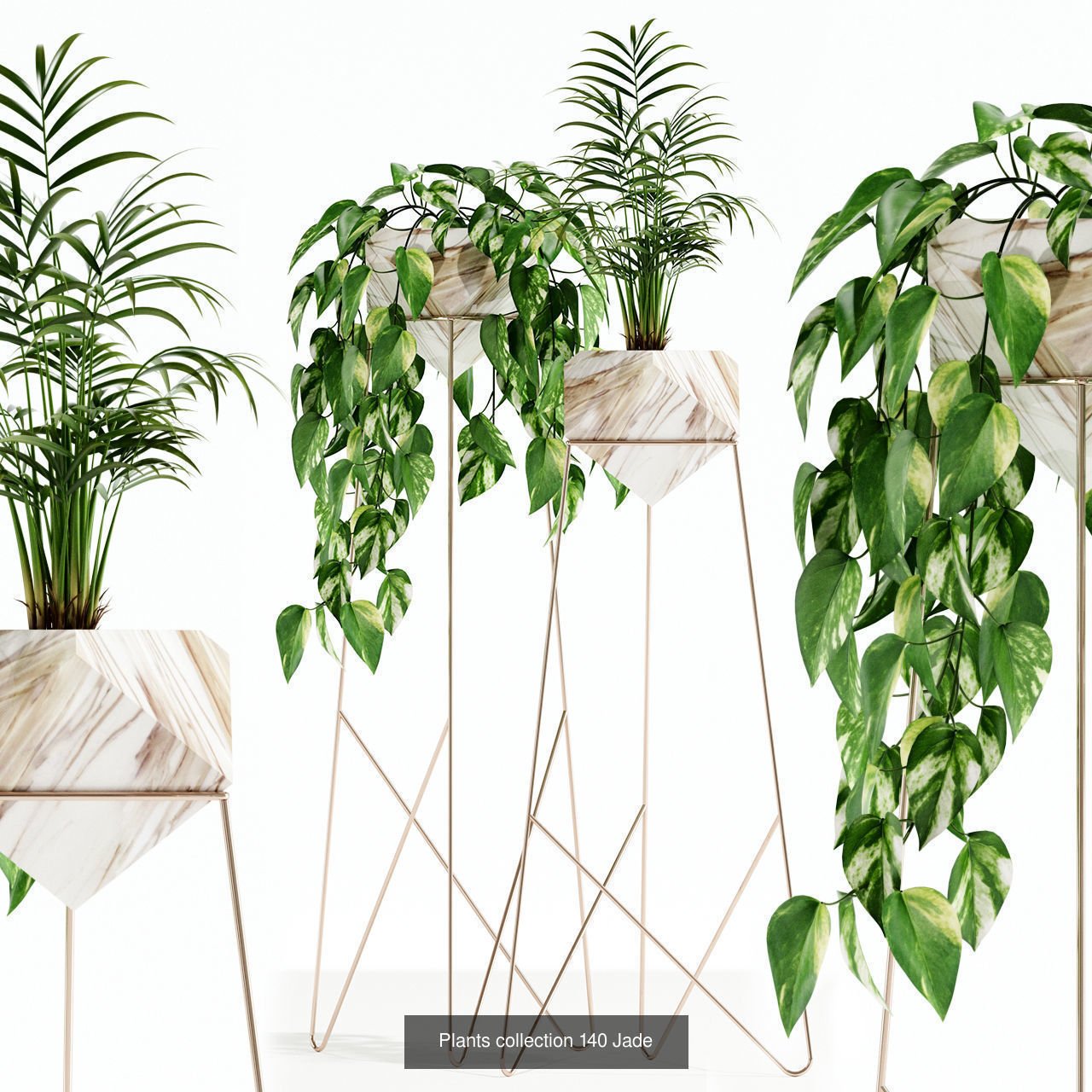 Plant Collection vol-01 _368