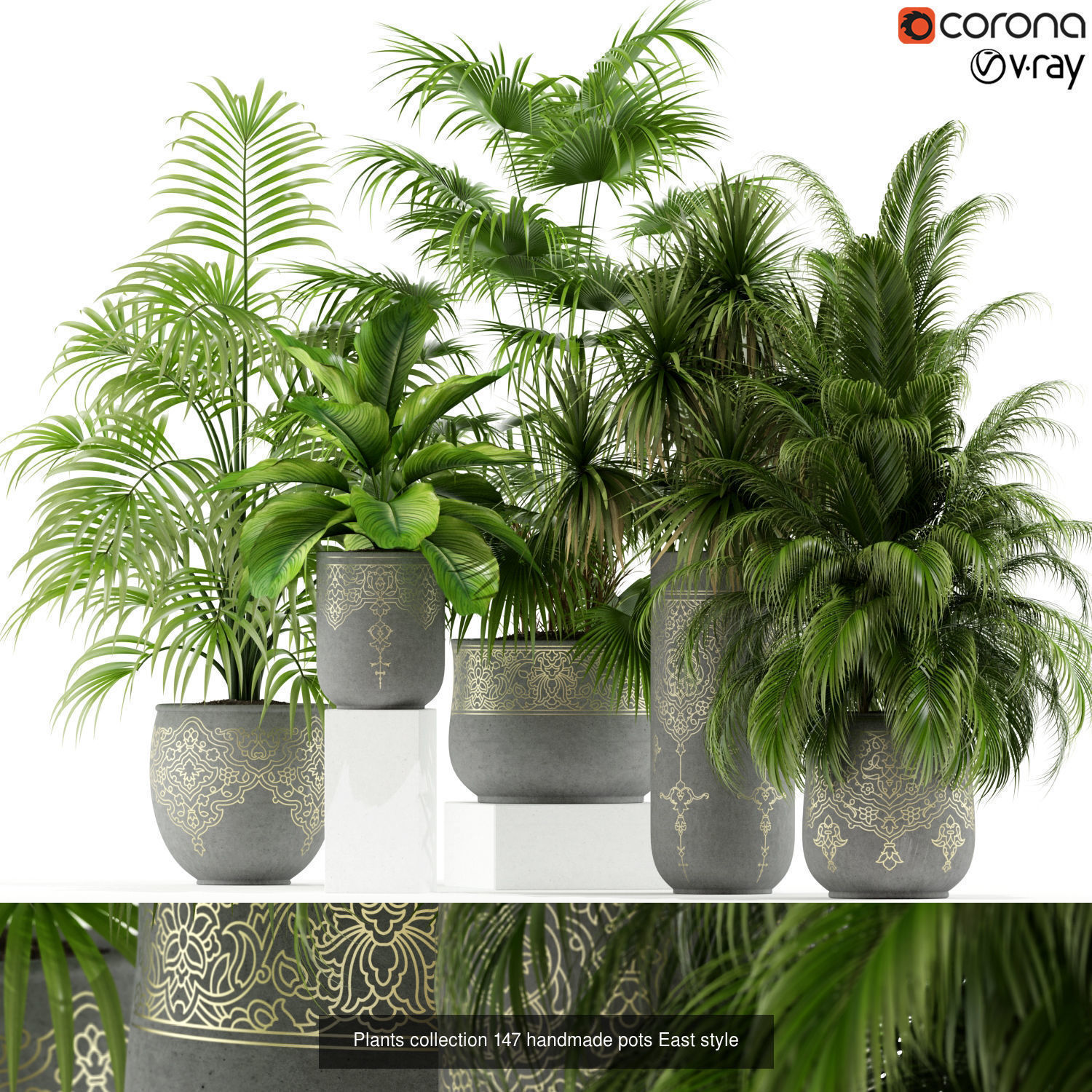 Plant Collection vol-01 _374