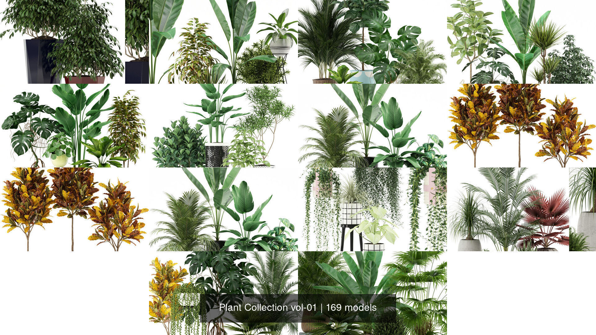 Plant Collection vol-01 _62