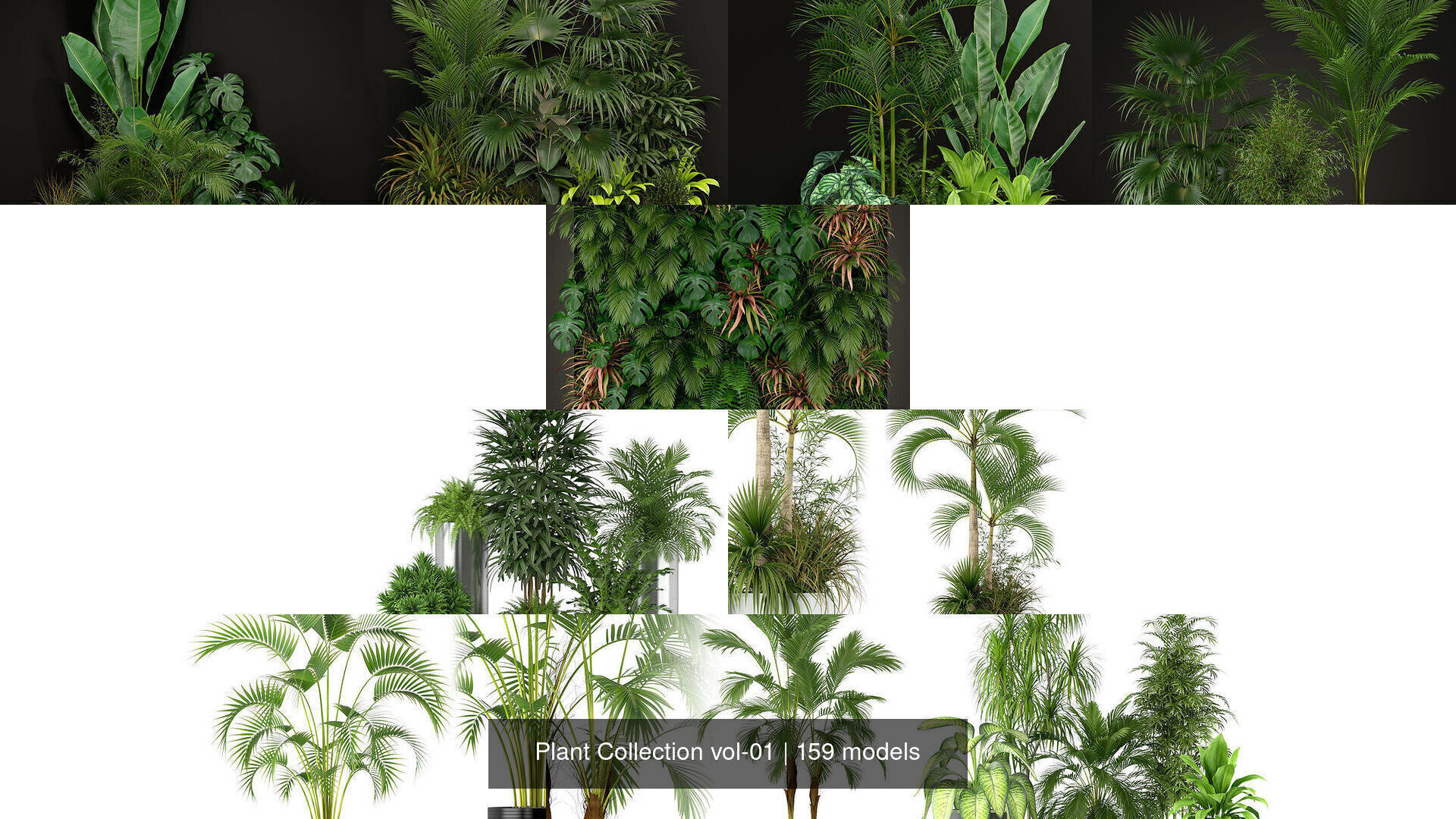 Plant Collection vol-01 _220