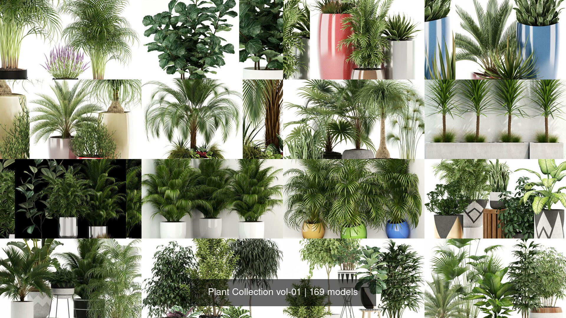 Plant Collection vol-01 _41