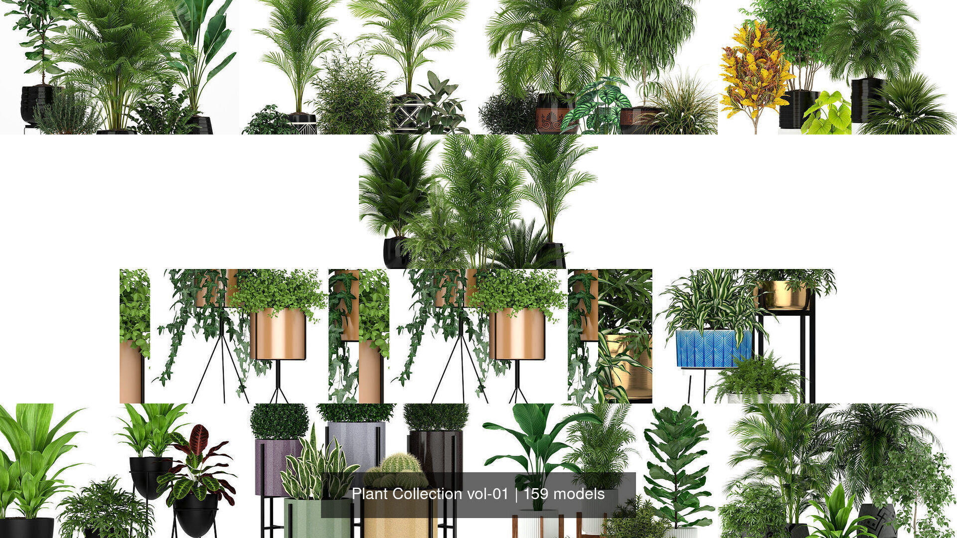 Plant Collection vol-01 _197