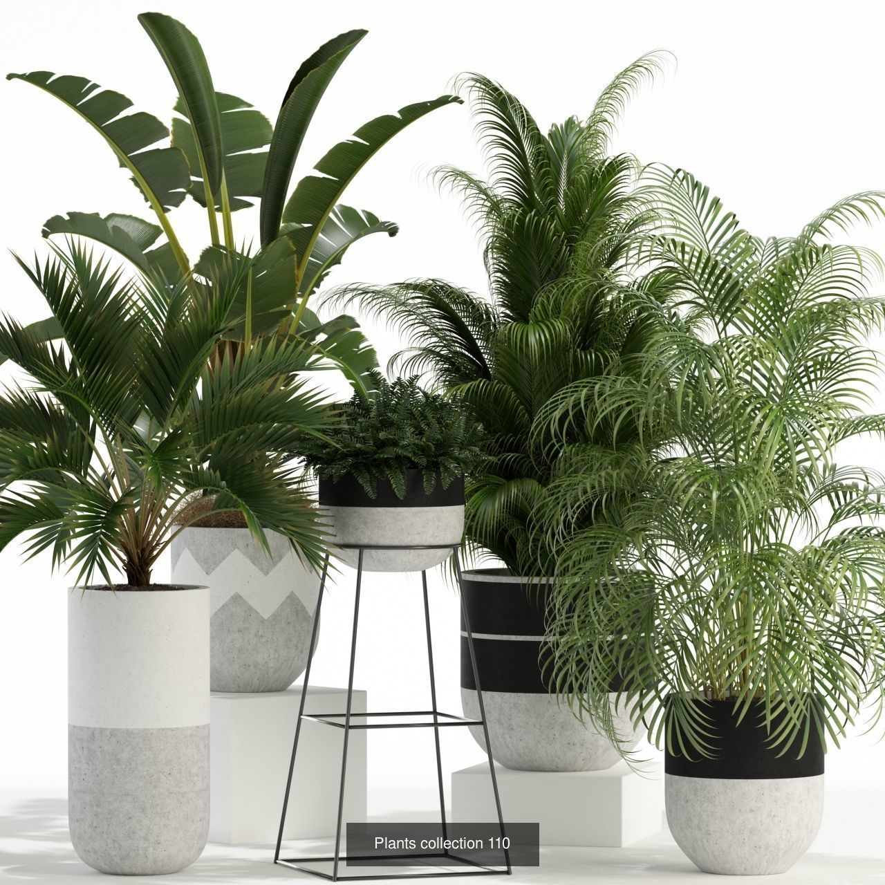 Plant Collection vol-01 _340