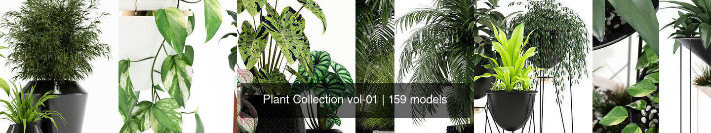 Plant Collection vol-01 _107