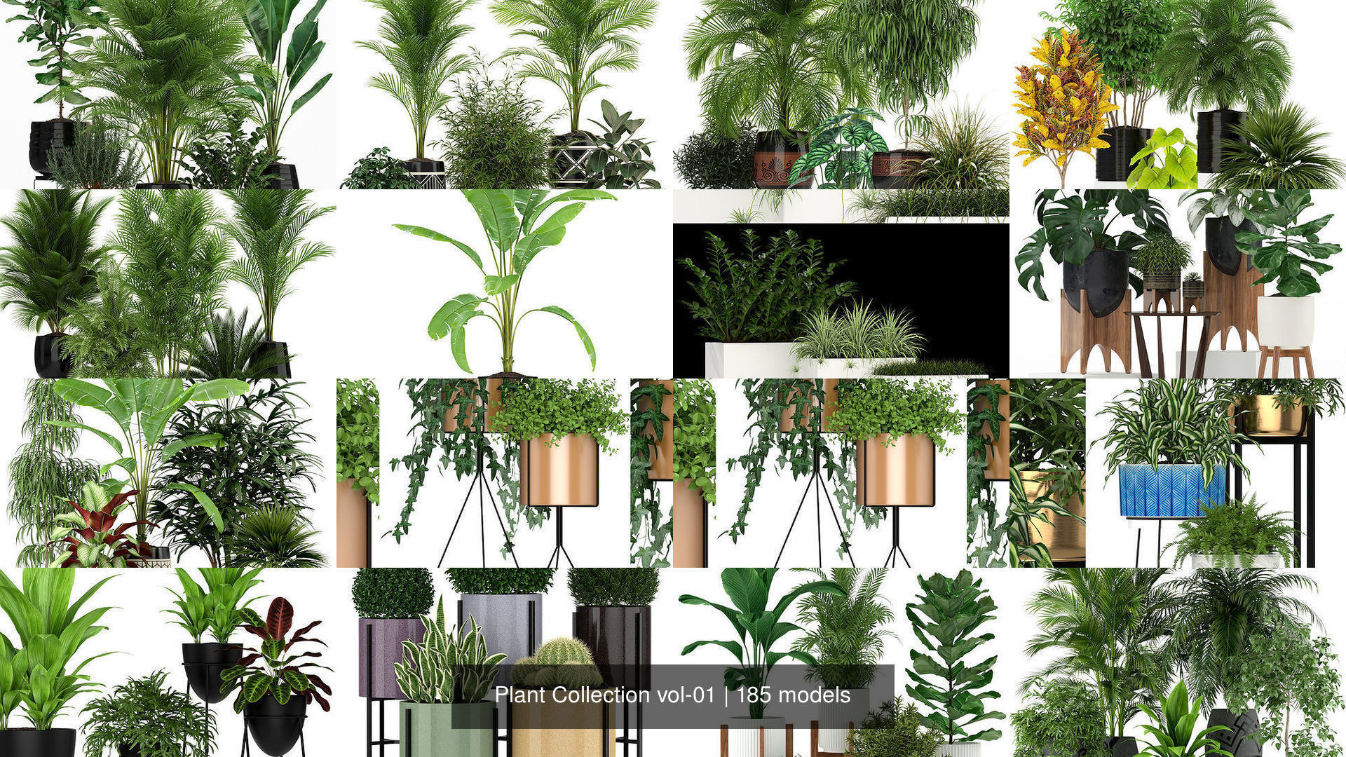 Plant Collection vol-01 _182