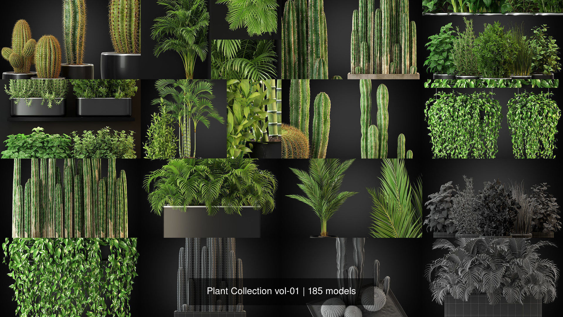 Plant Collection vol-01 _309
