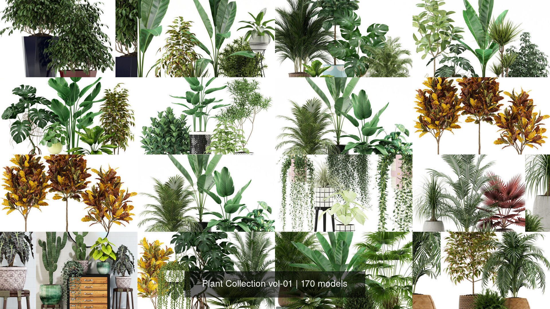 Plant Collection vol-01 _61