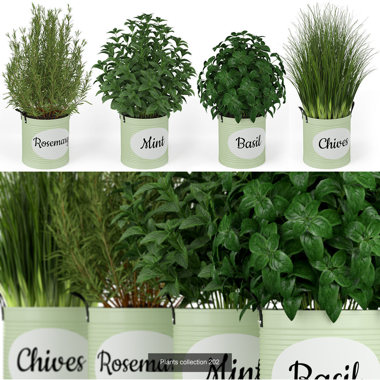 Plant Collection vol-01 _430