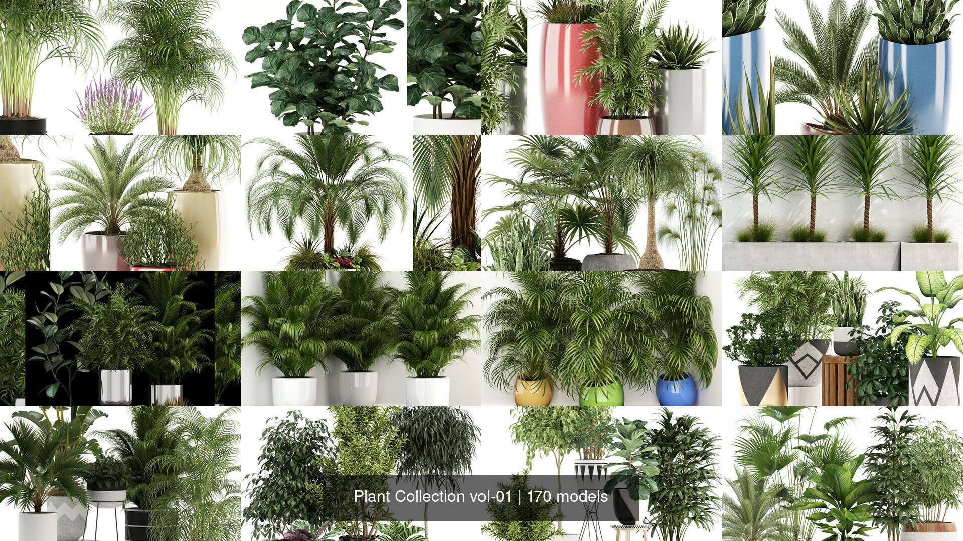 Plant Collection vol-01 _40
