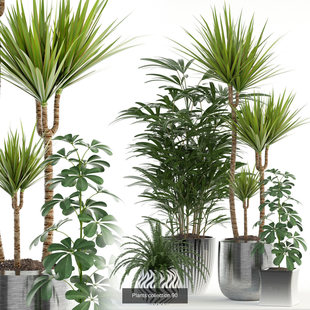 Plant Collection vol-01 _321