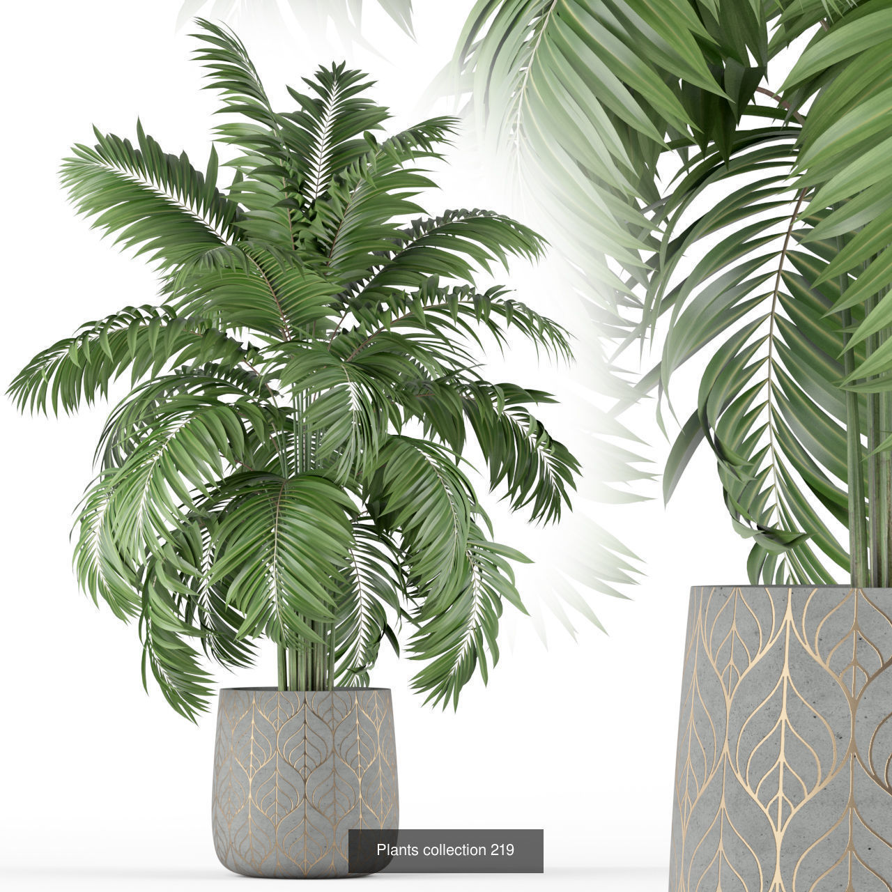 Plant Collection vol-01 _447