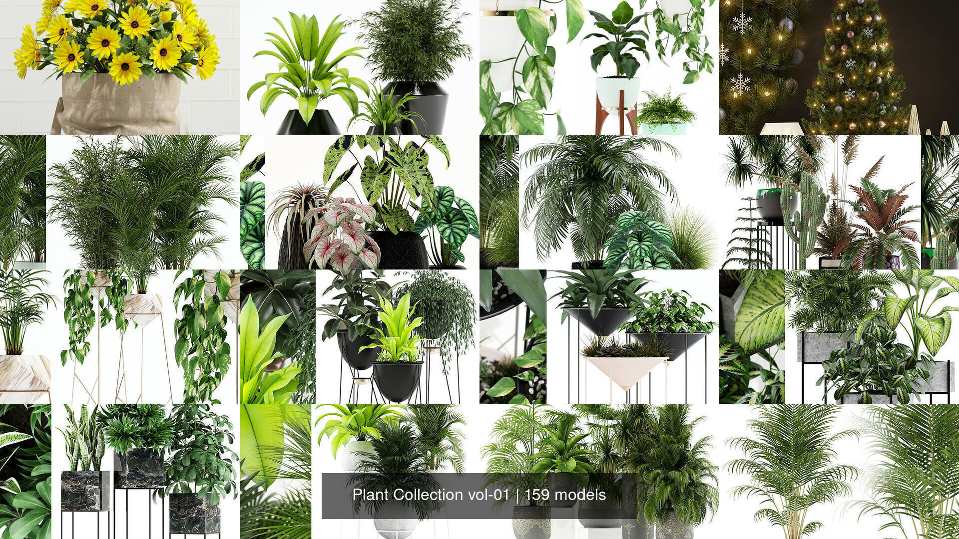 Plant Collection vol-01 _112