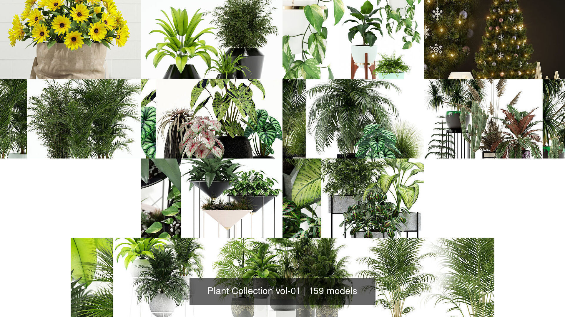 Plant Collection vol-01 _99