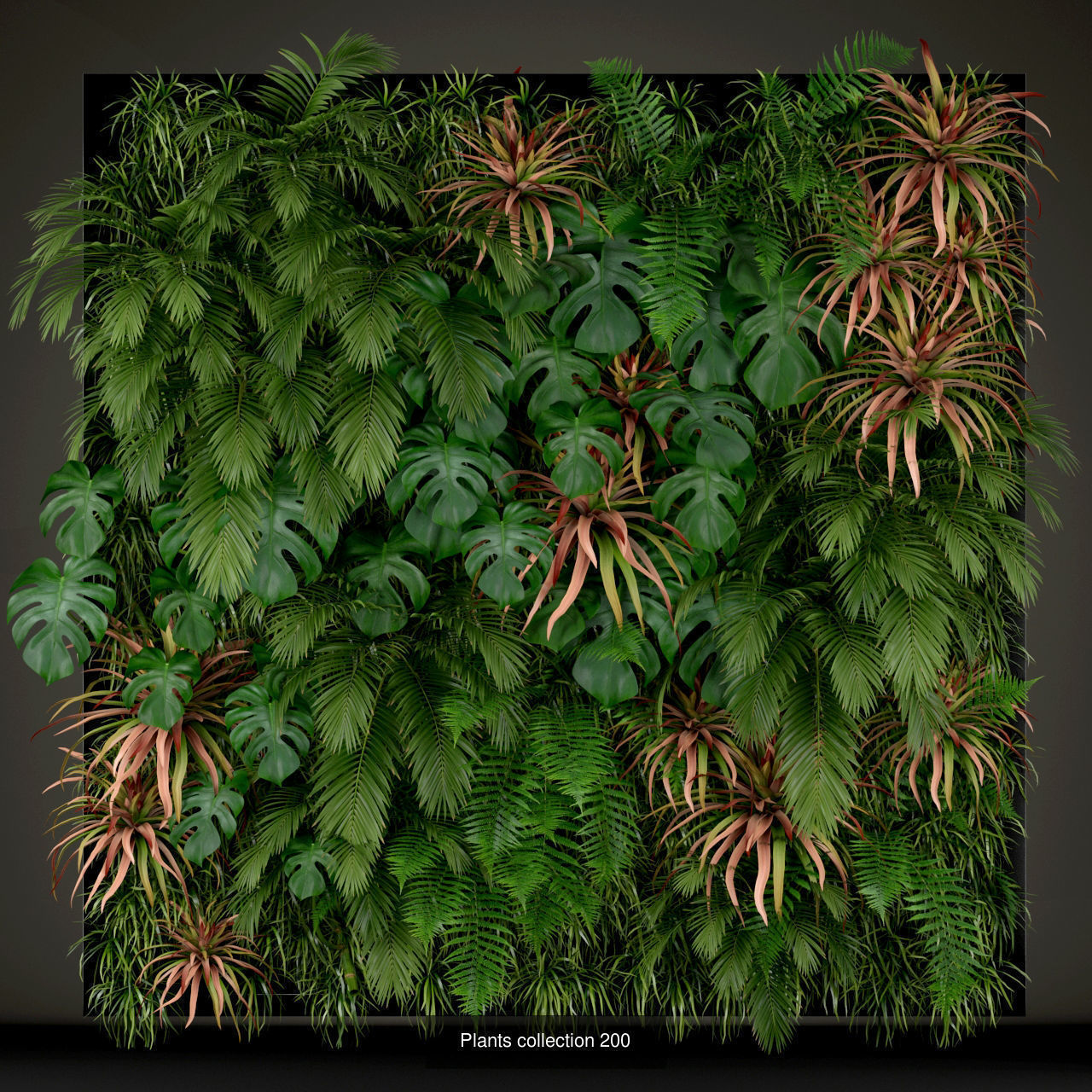 Plant Collection vol-01 _428