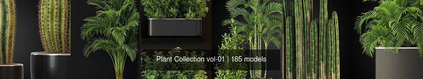 Plant Collection vol-01 _307